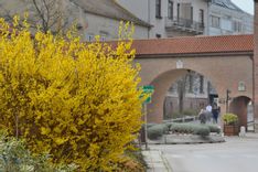 Fehérvár Médiacentrum fotója