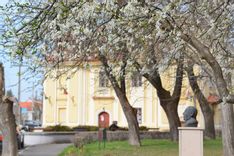 Fehérvár Médiacentrum fotója