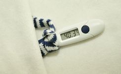 Fehérvár Médiacentrum fotója