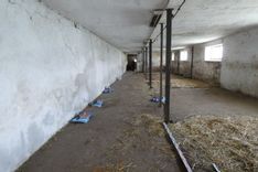 Fehérvár Médiacentrum fotója
