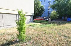 Fehérvár Médiacentrum fotója