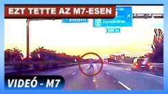 Fehérvár Médiacentrum fotója