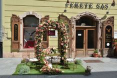 Fehérvár Médiacentrum fotója