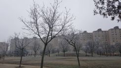 Fehérvár Médiacentrum fotója