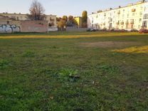 Fehérvár Médiacentrum fotója