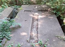 Fehérvár Médiacentrum fotója