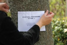 Fehérvár Médiacentrum fotója
