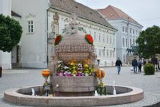 Fehérvár Médiacentrum fotója
