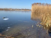 Fehérvár Médiacentrum fotója
