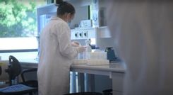 Fehérvár Médiacentrum fotója