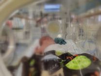 Fehérvár Médiacentrum fotója