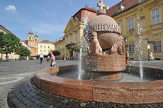 Fehérvár Médiacentrum fotója