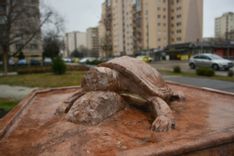 Fehérvár Médiacentrum fotója