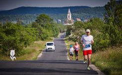 Fehérvár Médiacentrum fotója
