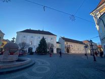 Fehérvár Médiacentrum fotója
