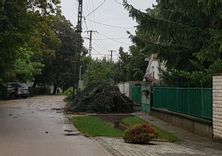 Fehérvár Médiacentrum fotója