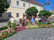 Fehérvár Médiacentrum fotója