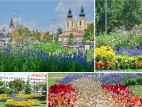 Fehérvár Médiacentrum fotója