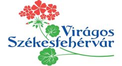 Fehérvár Médiacentrum fotója