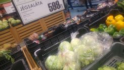 Fehérvár Médiacentrum fotója