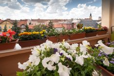 Fehérvár Médiacentrum fotója