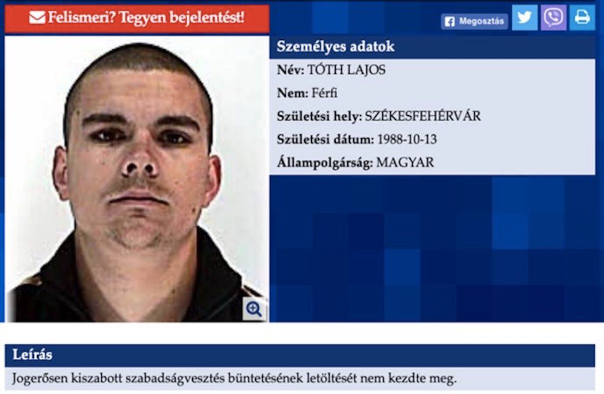 Fehérvár Médiacentrum fotója