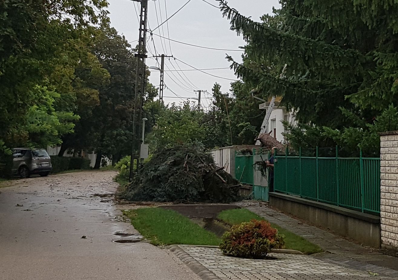 Fehérvár Médiacentrum fotója
