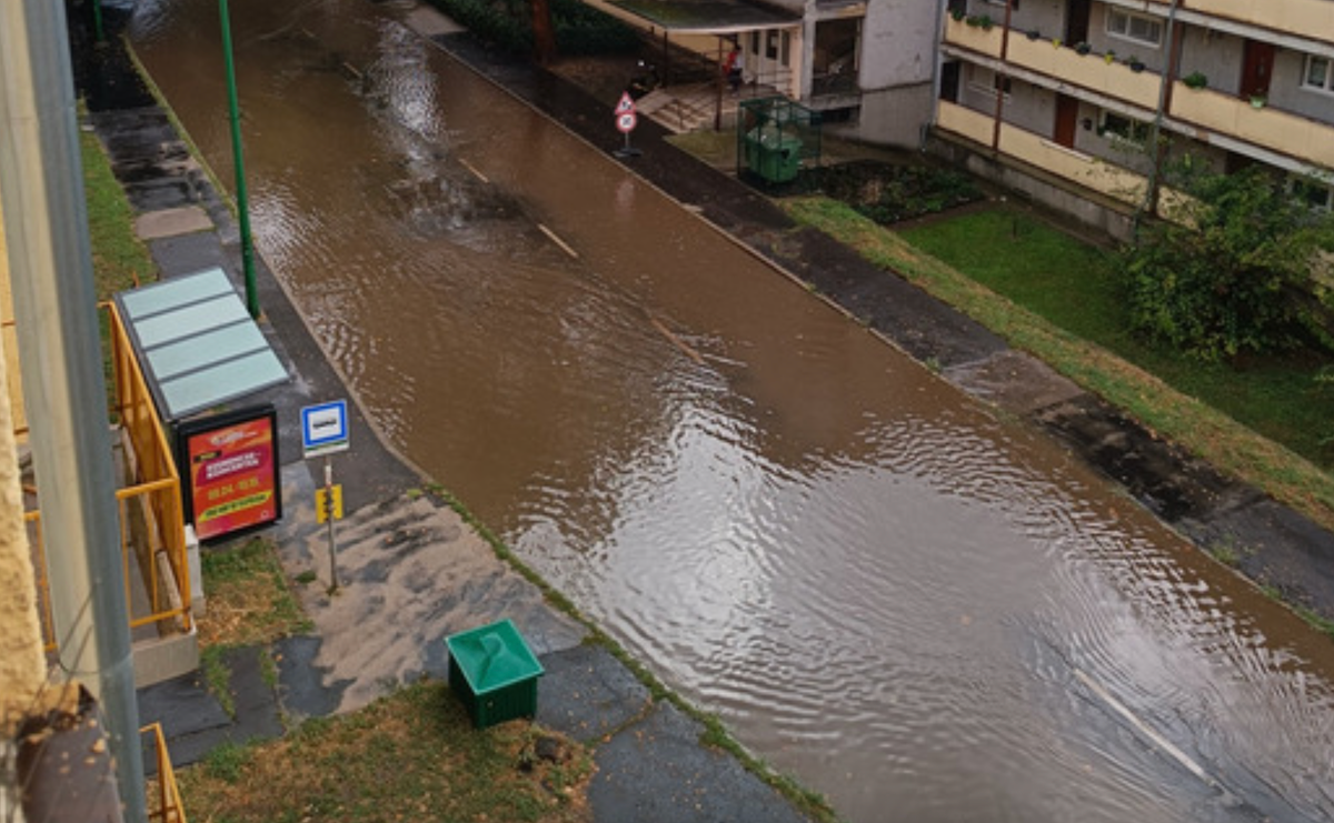 Fehérvár Médiacentrum fotója