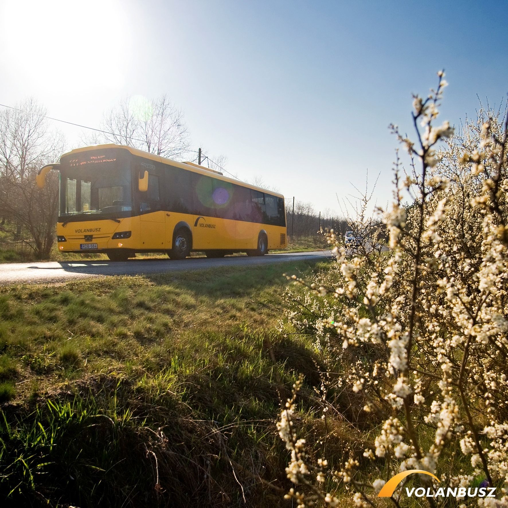 Fehérvár Médiacentrum fotója