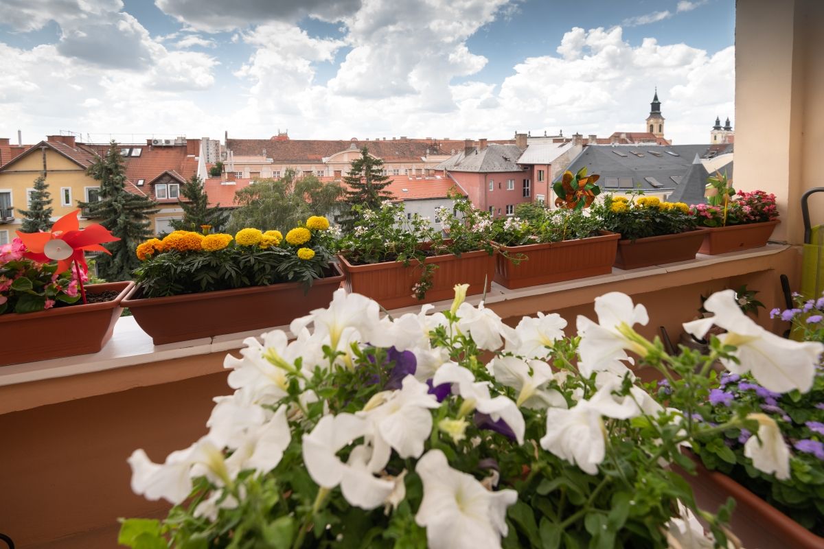 Fehérvár Médiacentrum fotója